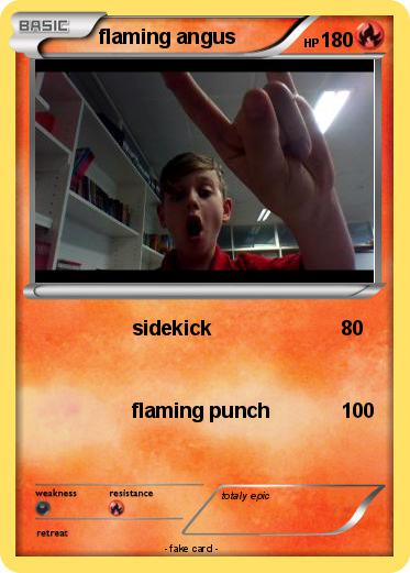 Pokemon flaming angus