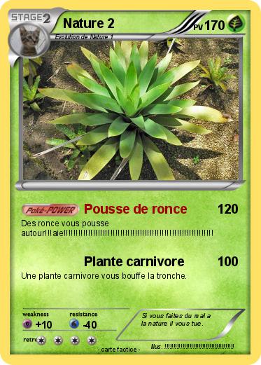 Pokemon Nature 2