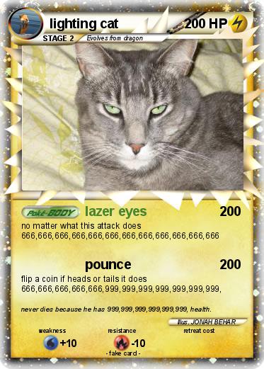 Pokemon lighting cat
