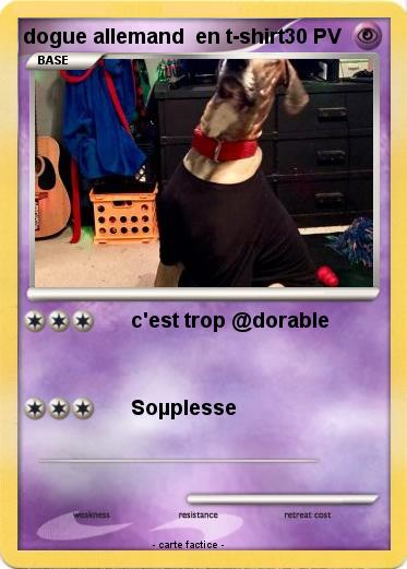 Pokemon dogue allemand  en t-shirt