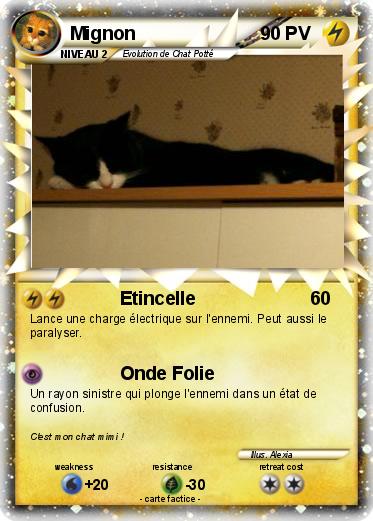 Pokemon Mignon