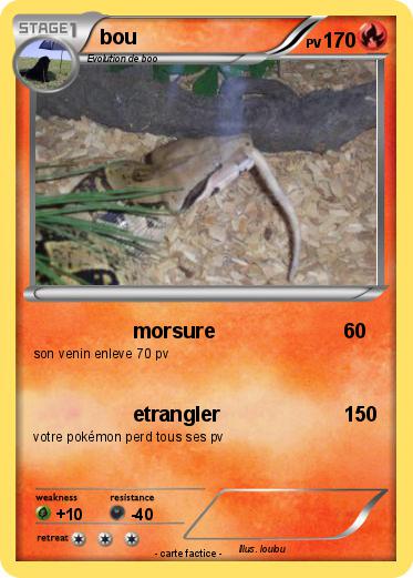 Pokemon bou