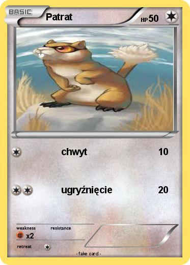 Pokemon Patrat