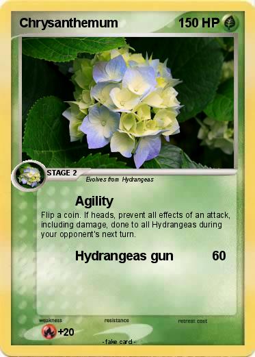 Pokemon Chrysanthemum