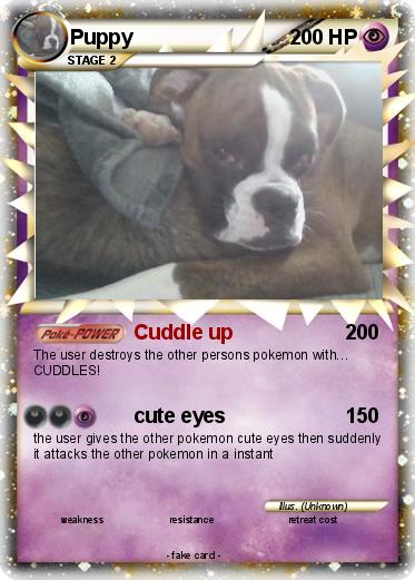 Pokemon Puppy