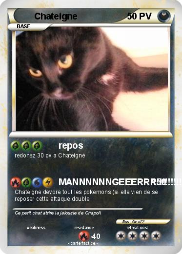 Pokemon Chateigne