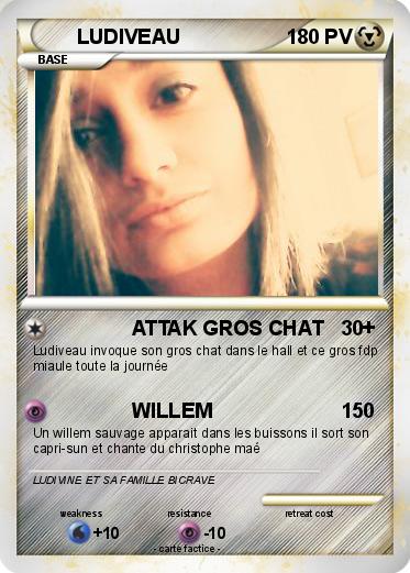 Pokemon LUDIVEAU