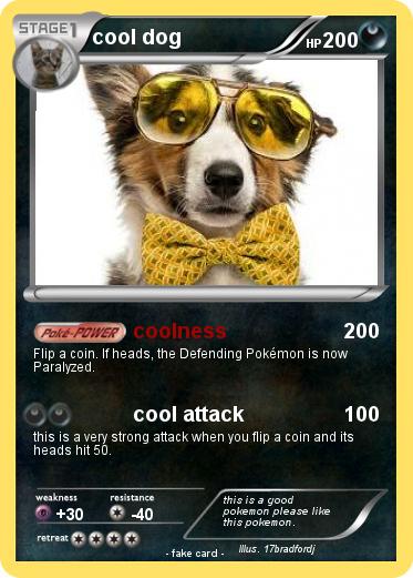 Pokemon cool dog