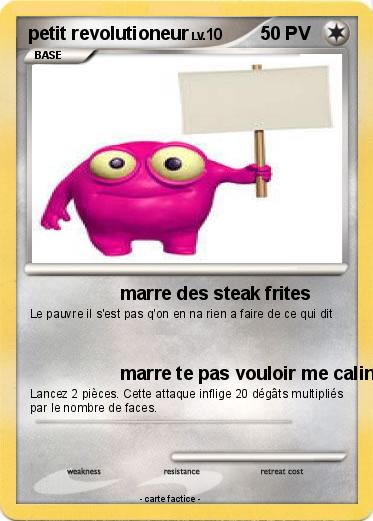 Pokemon petit revolutioneur