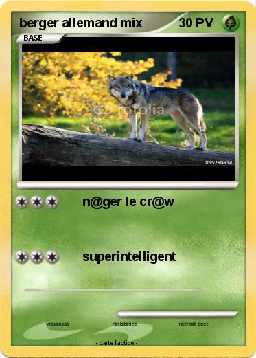 Pokemon berger allemand mix