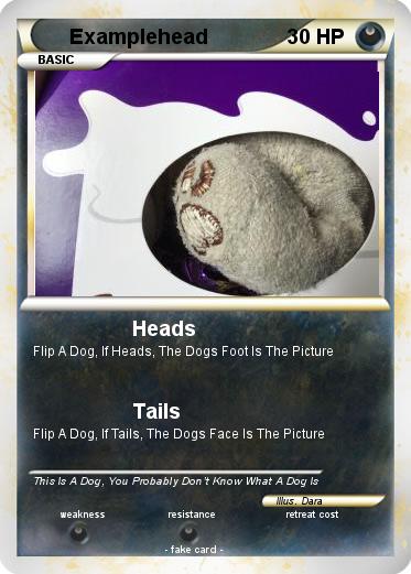 Pokemon Examplehead