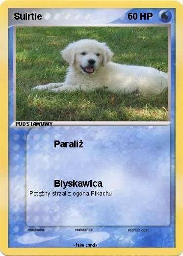 Pokemon Suirtle