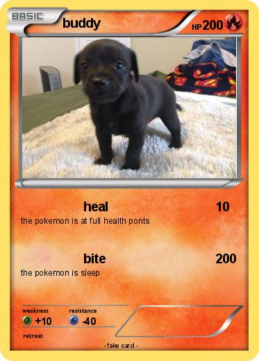Pokemon buddy