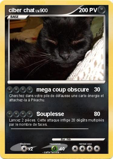 Pokemon ciber chat