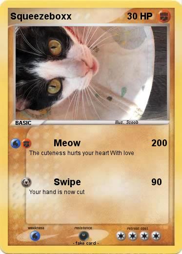 Pokemon Squeezeboxx