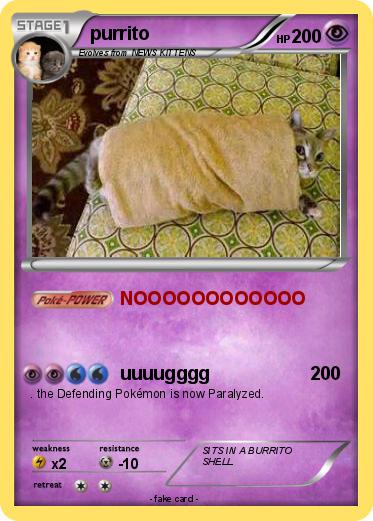Pokemon purrito