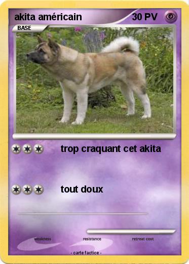 Pokemon akita américain