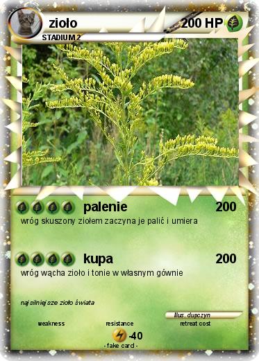 Pokemon zioło