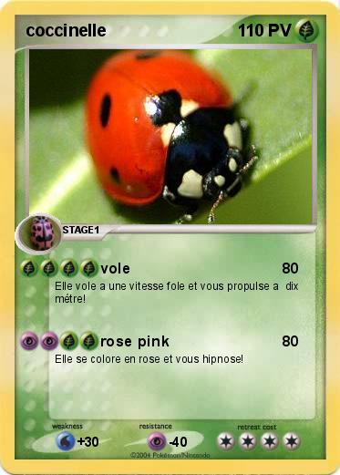 Pokemon coccinelle