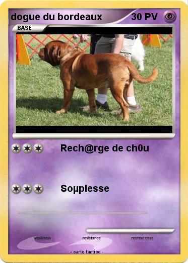 Pokemon dogue du bordeaux