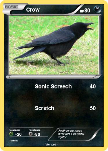 Pokemon Crow