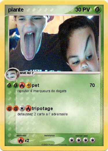 Pokemon plante