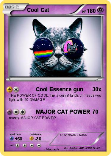 Pokemon Cool Cat