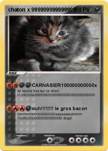 Pokemon chaton x 999999999999999