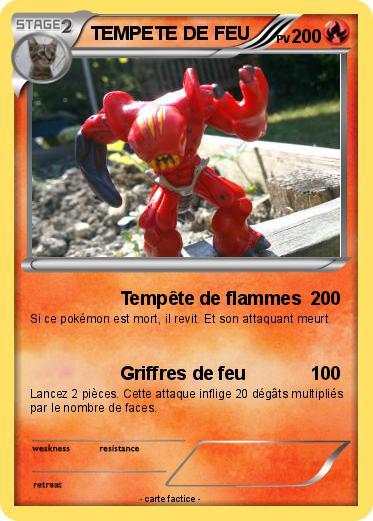 Pokemon TEMPETE DE FEU