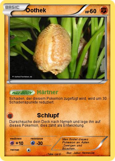 Pokemon Oothek