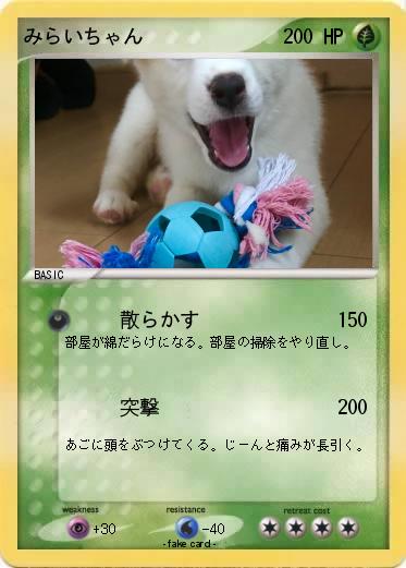 Pokemon みらいちゃん