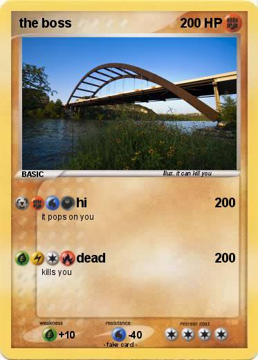 Pokemon the boss