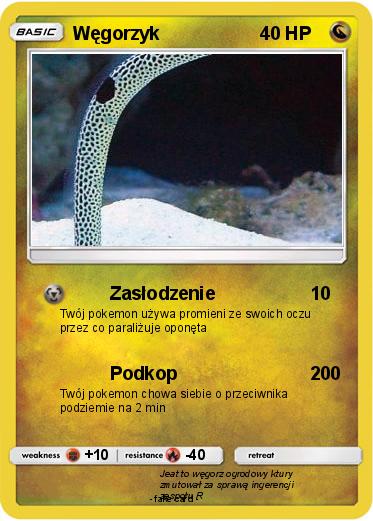 Pokemon Węgorzyk