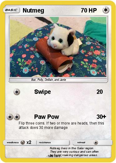 Pokemon Nutmeg