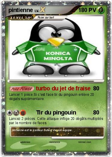 Pokemon pintienne