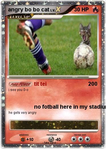 Pokemon angry bo bo cat