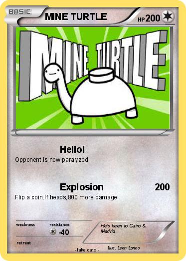 Pokemon MINE TURTLE