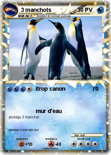 Pokemon 3 manchots