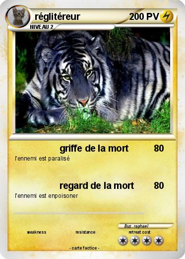 Pokemon réglitéreur