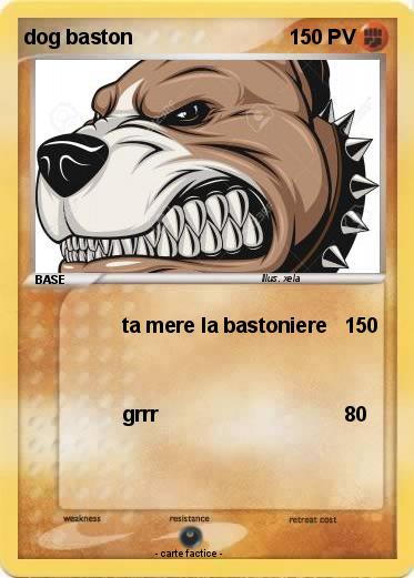 Pokemon dog baston