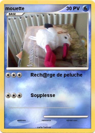 Pokemon mouette