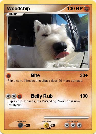 Pokemon Woodchip