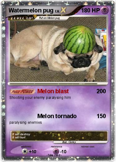 Pokemon Watermelon pug