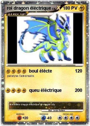 Pokemon roi dragon éléctrique