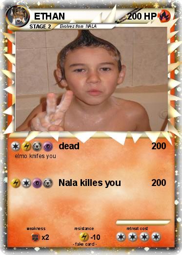 Pokemon ETHAN