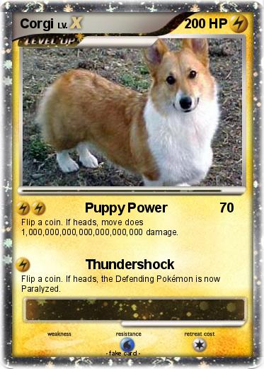 Pokemon Corgi