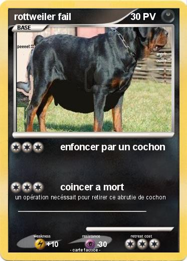 Pokemon rottweiler fail