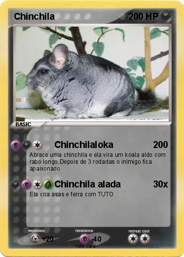 Pokemon Chinchila