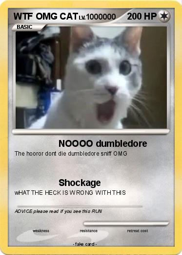 Pokemon WTF OMG CAT