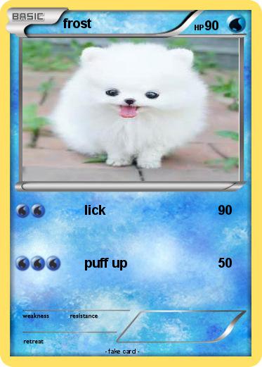 Pokemon frost